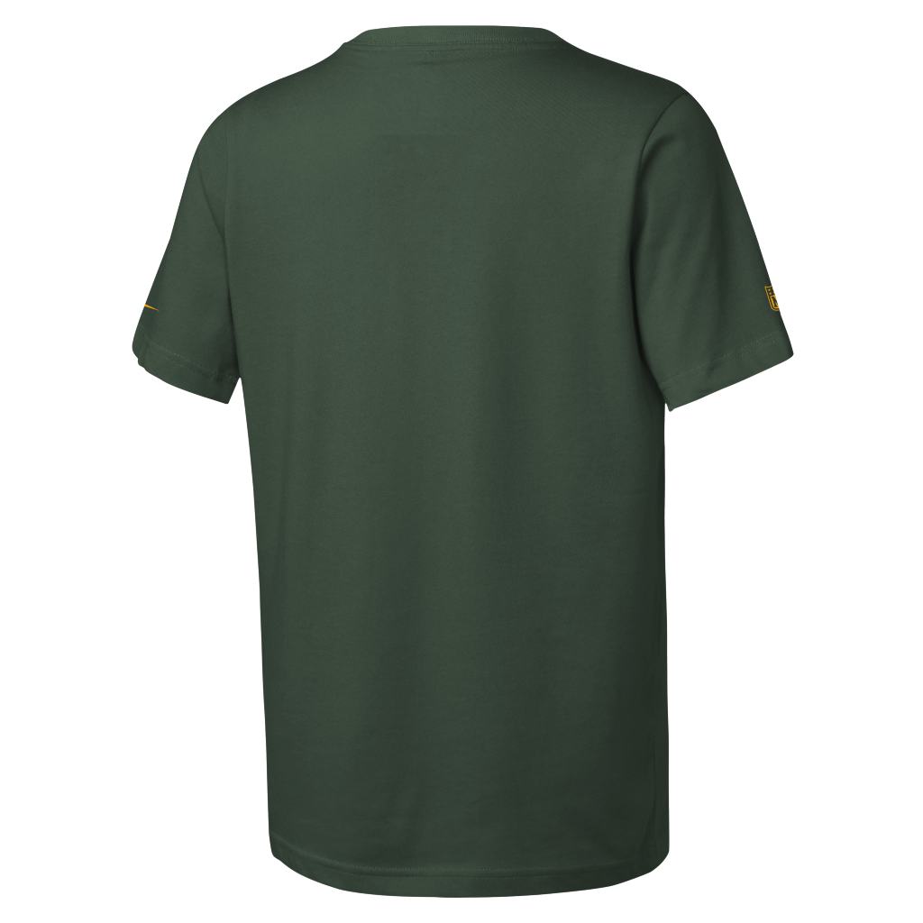 NFL Green Bay Packers Youth Nike Team Issue T-Shirt - Green