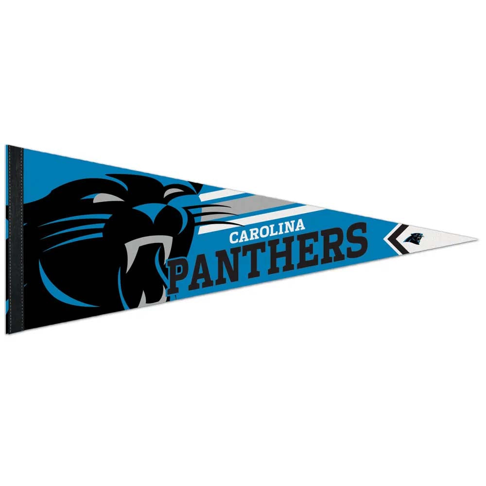 NFL Carolina Panthers Wincraft Stripe Premium Pennant