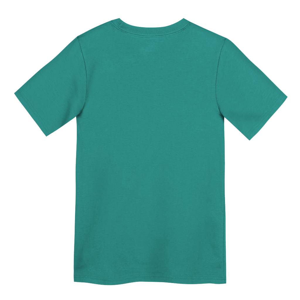 NFL Miami Dolphins Toddler Nike Logo T-Shirt - Teal