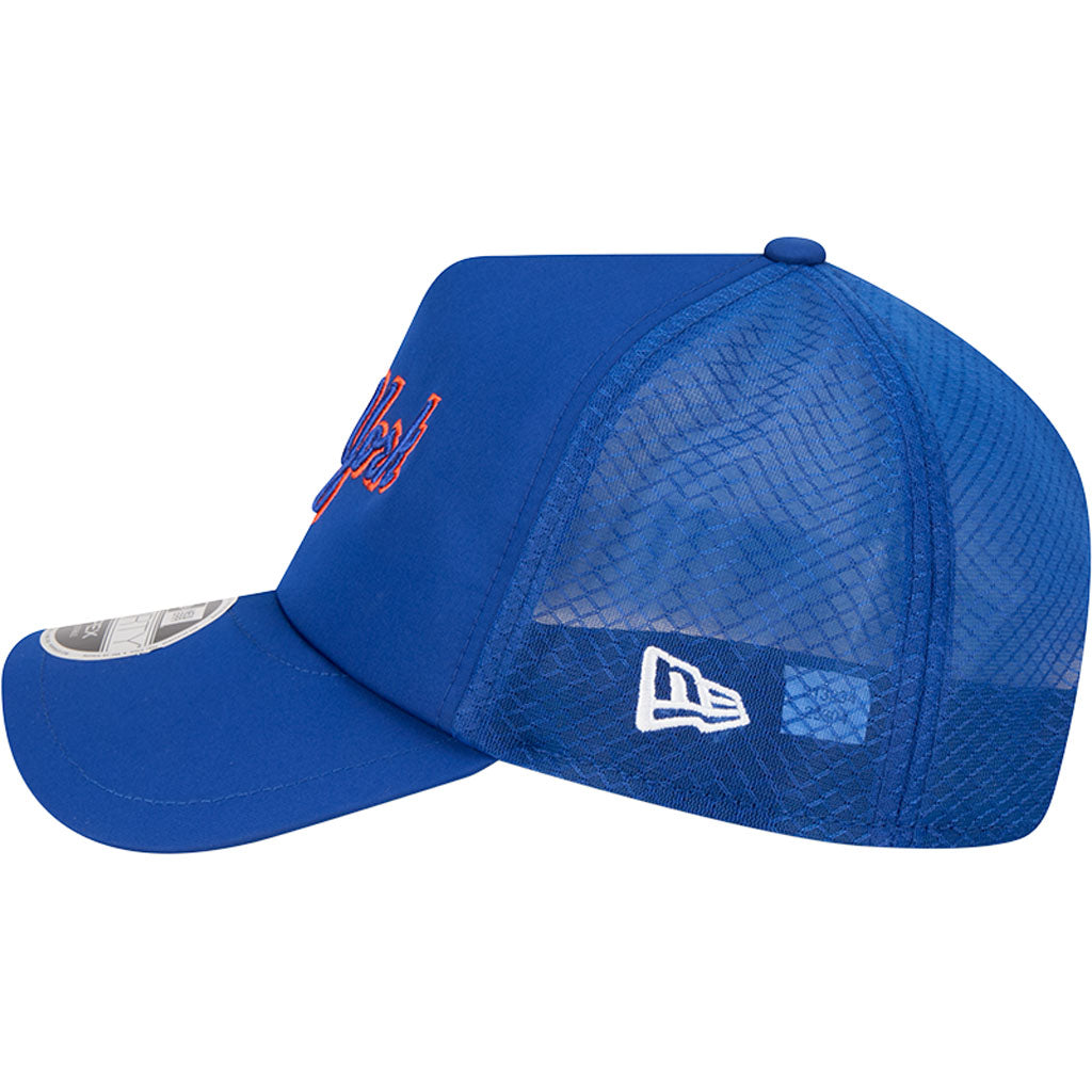 MLB New York Mets New Era Batting Practice Apex 9FORTY Snapback Hat - Blue
