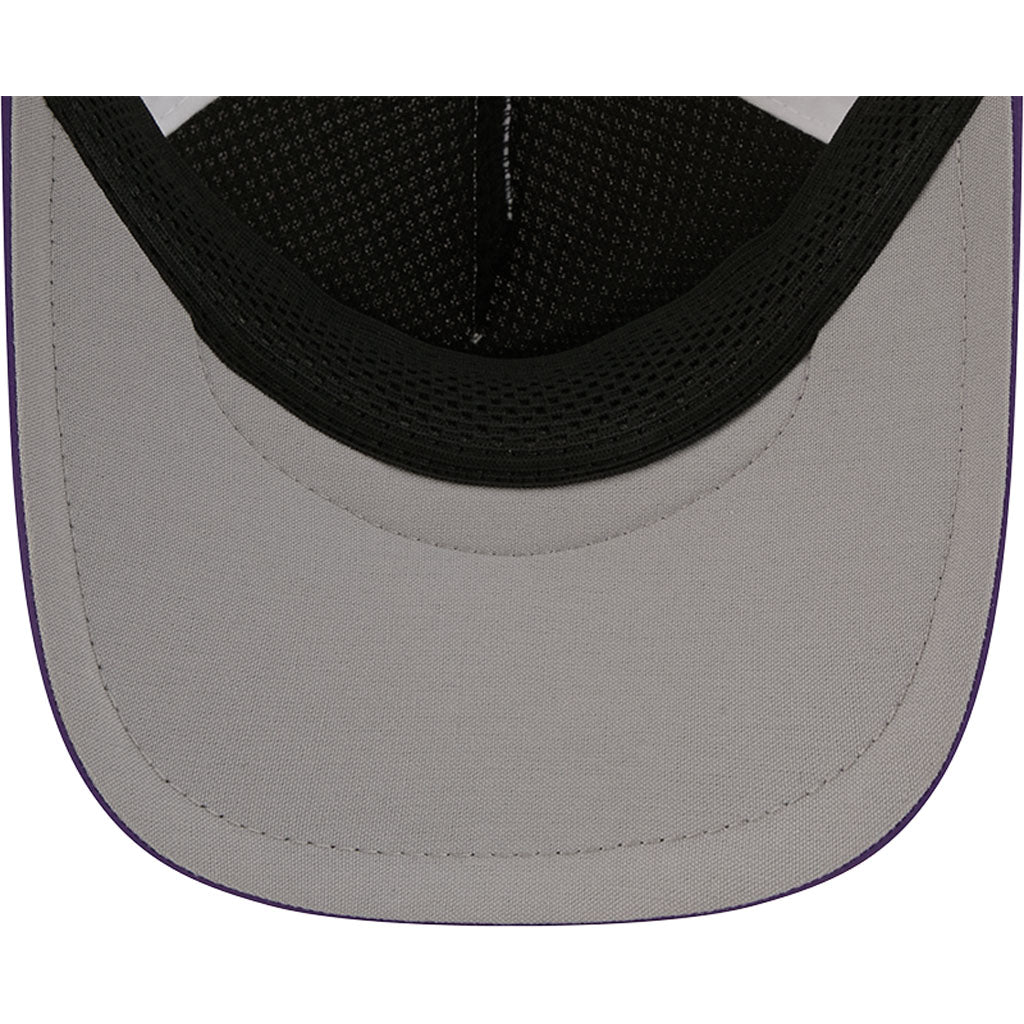 MLB Arizona Diamondbacks New Era City Connect Two-Tone Batting Practice Apex 9FORTY Snapback Hat - White