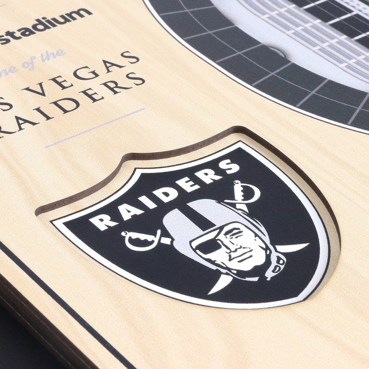 NFL Las Vegas Raiders You the fan 5-Layer Stadium View Wall Art