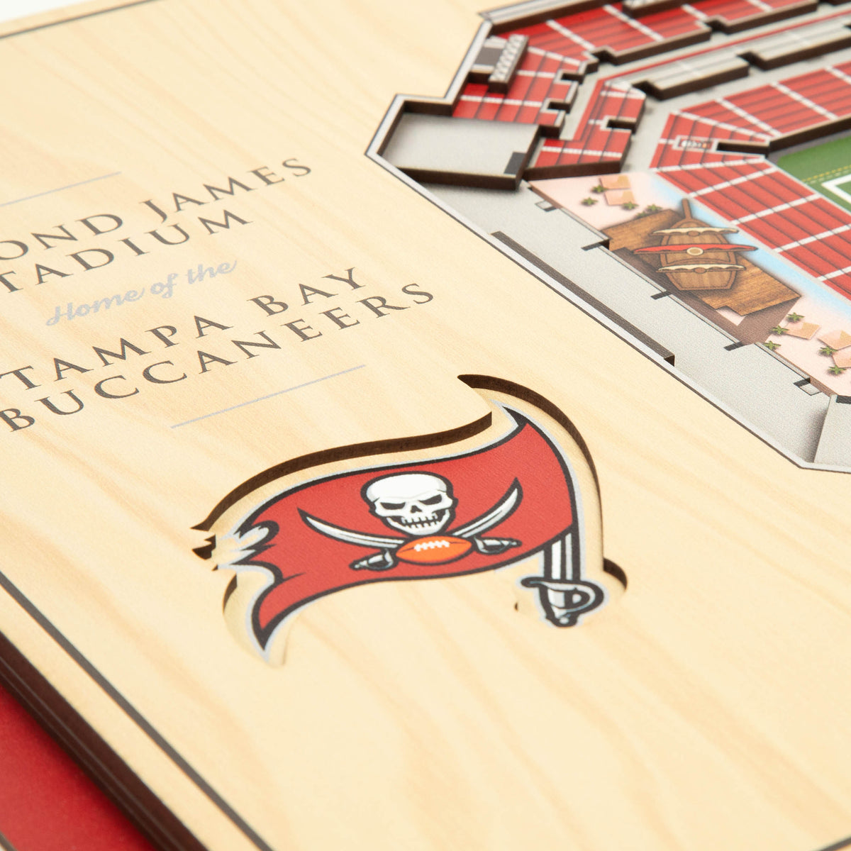 NFL Tampa Bay Buccaneers You the fan 5-Layer Stadium View Wall Art