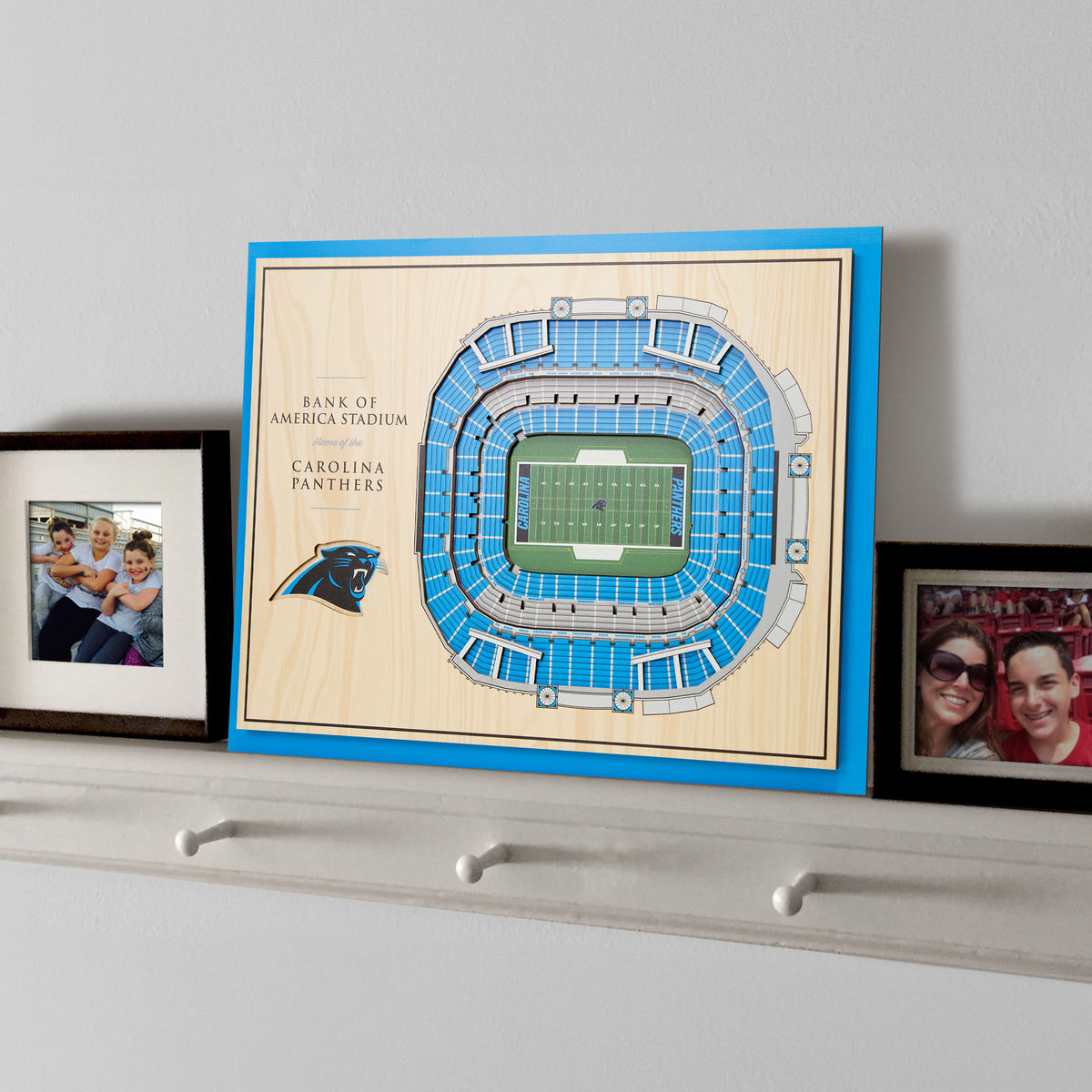 NFL Carolina Panthers You the fan 5-Layer Stadium View Wall Art
