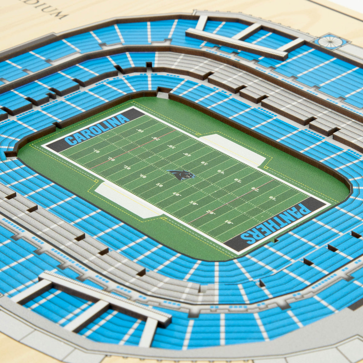 NFL Carolina Panthers You the fan 5-Layer Stadium View Wall Art
