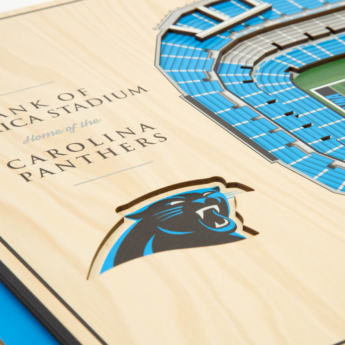 NFL Carolina Panthers You the fan 5-Layer Stadium View Wall Art