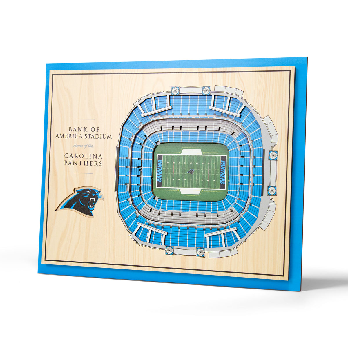 NFL Carolina Panthers You the fan 5-Layer Stadium View Wall Art