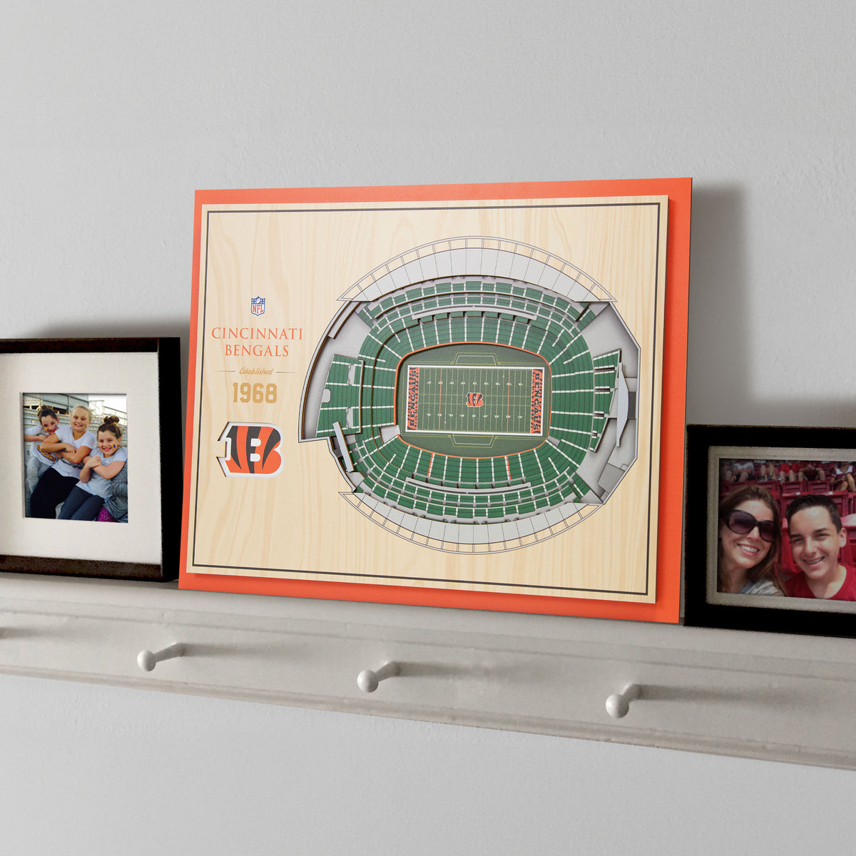 NFL Cincinnati Bengals You the fan 5-Layer Stadium View Wall Art