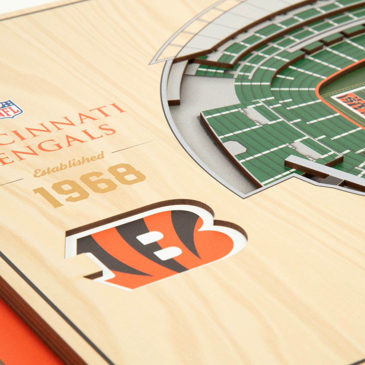 NFL Cincinnati Bengals You the fan 5-Layer Stadium View Wall Art