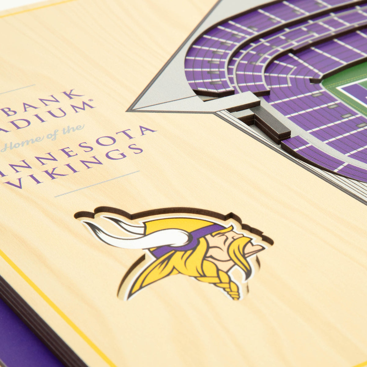 NFL Minnesota Vikings You the fan 5-Layer Stadium View Wall Art