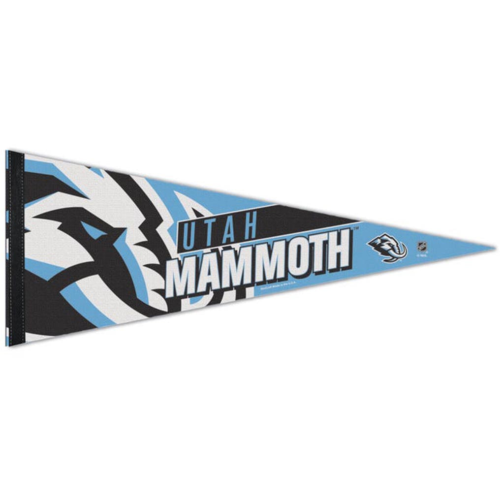 NHL Utah Mammoth WinCraft Stripe Premium Pennant