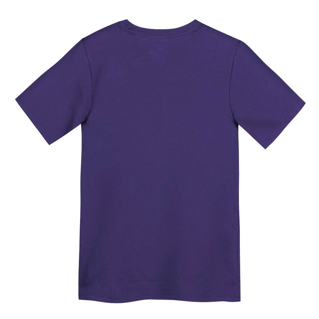 NFL Minnesota Vikings Toddler Nike Logo T-Shirt - Purple