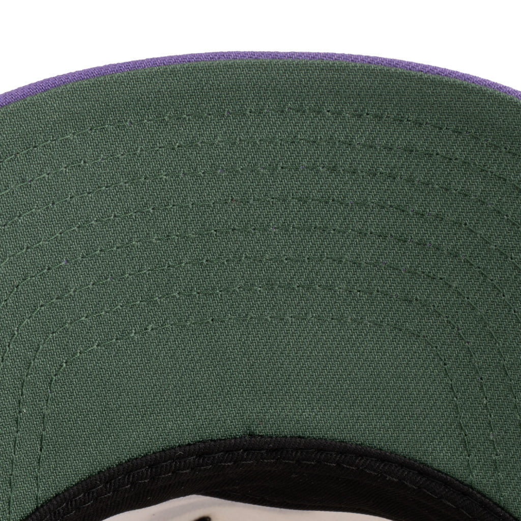 Tucson Roadrunners New Era Two-Tone Kachina 9FIFTY A-Frame Snapback Hat - Cream