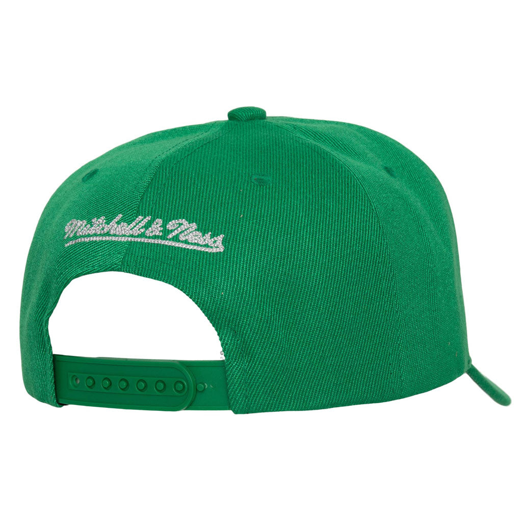 NBA Boston Celtics Mitchell & Ness Chain Gang Snapback Hat - Green