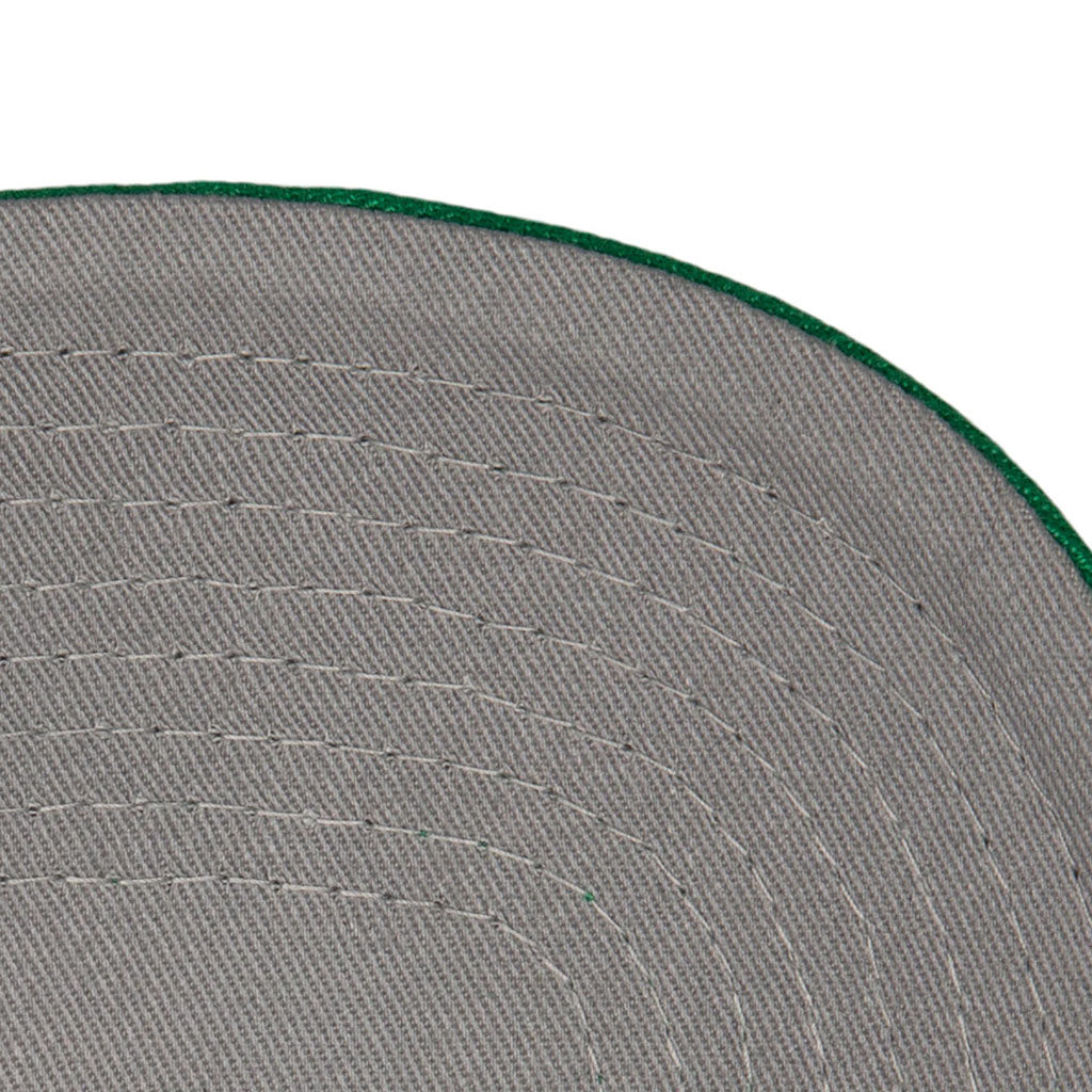 NBA Boston Celtics Mitchell & Ness Chain Gang Snapback Hat - Green