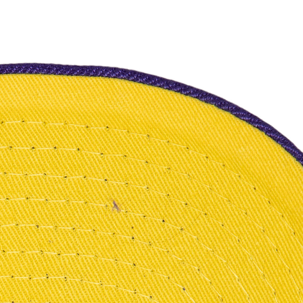 NBA Los Angeles Lakers Mitchell & Ness Chain Gang Snapback Hat - Purple