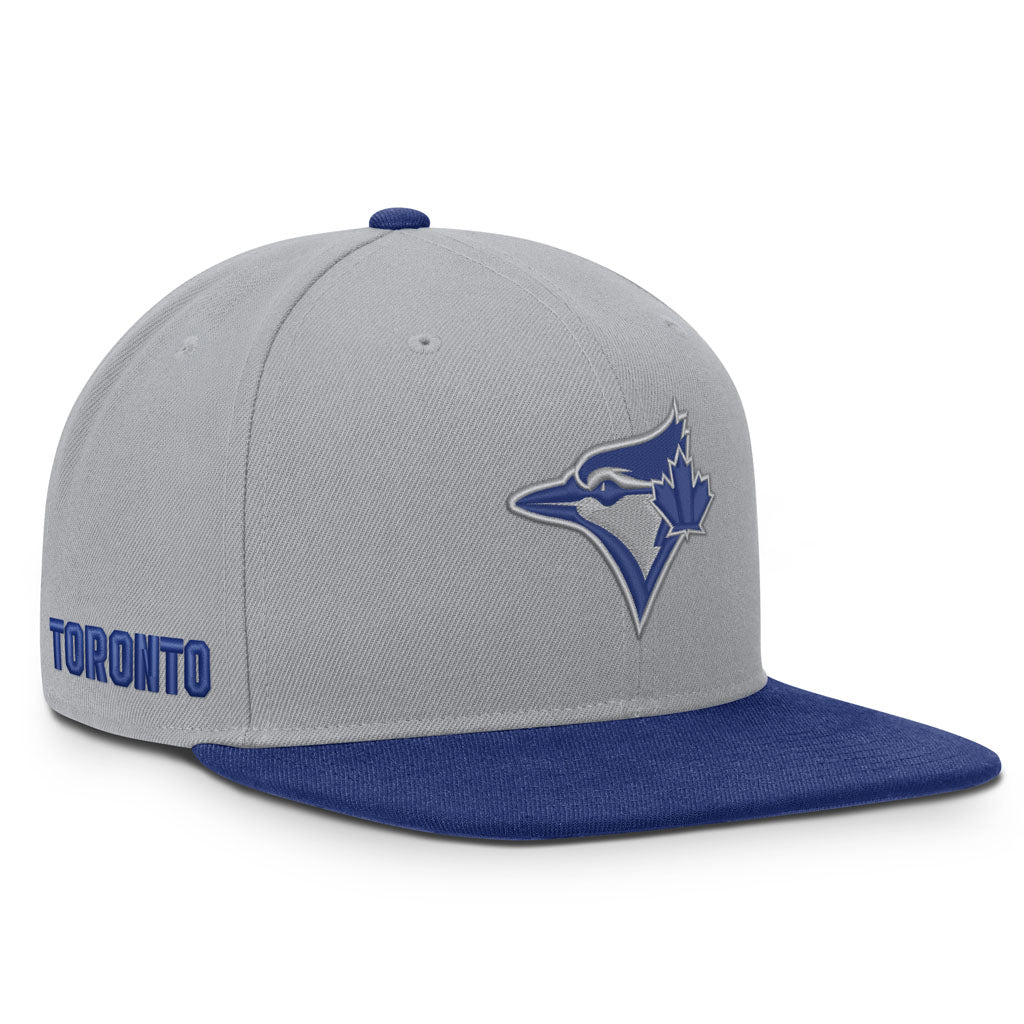 MLB Toronto Blue Jays Nike Two-Tone Primetime Pro Snapback Hat - Graphite