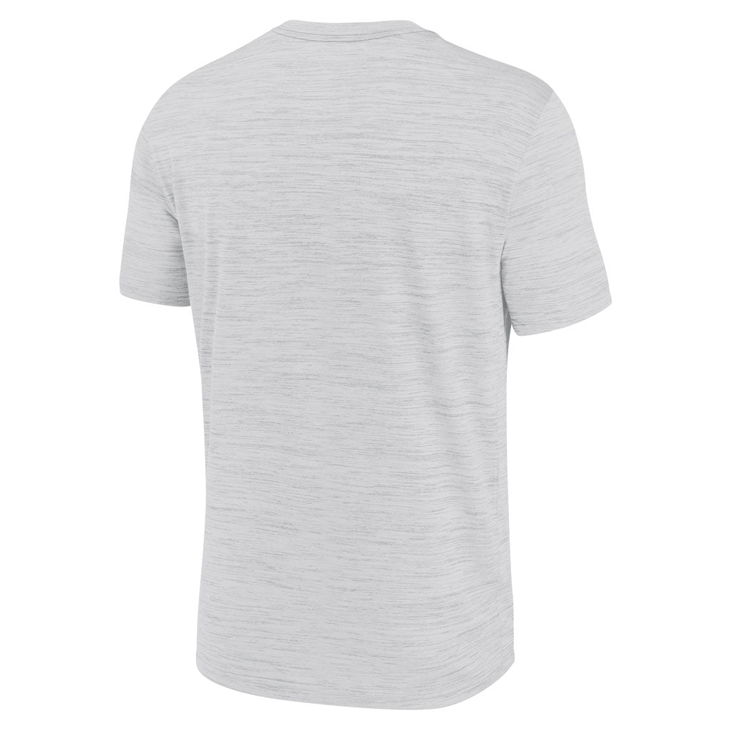 NCAA Texas Longhorns Nike Script Velocity T-Shirt - White