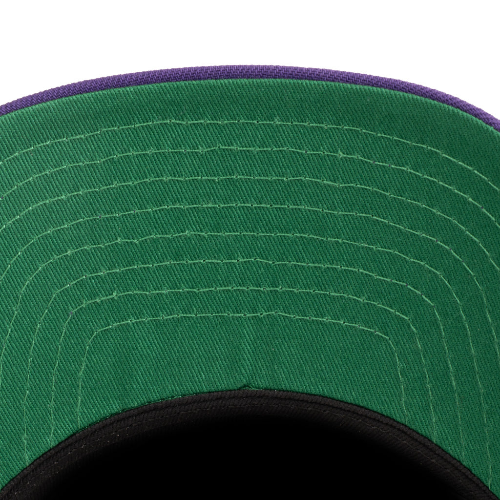 NFL Minnesota Vikings New Era Two-Tone Primary Team Color Stone 9FIFTY A-Frame Snapback Hat - Stone