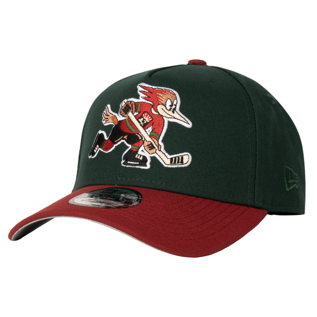 Tucson Roadrunners New Era Two-Tone 9FORTY A-Frame Snapback Hat - Green