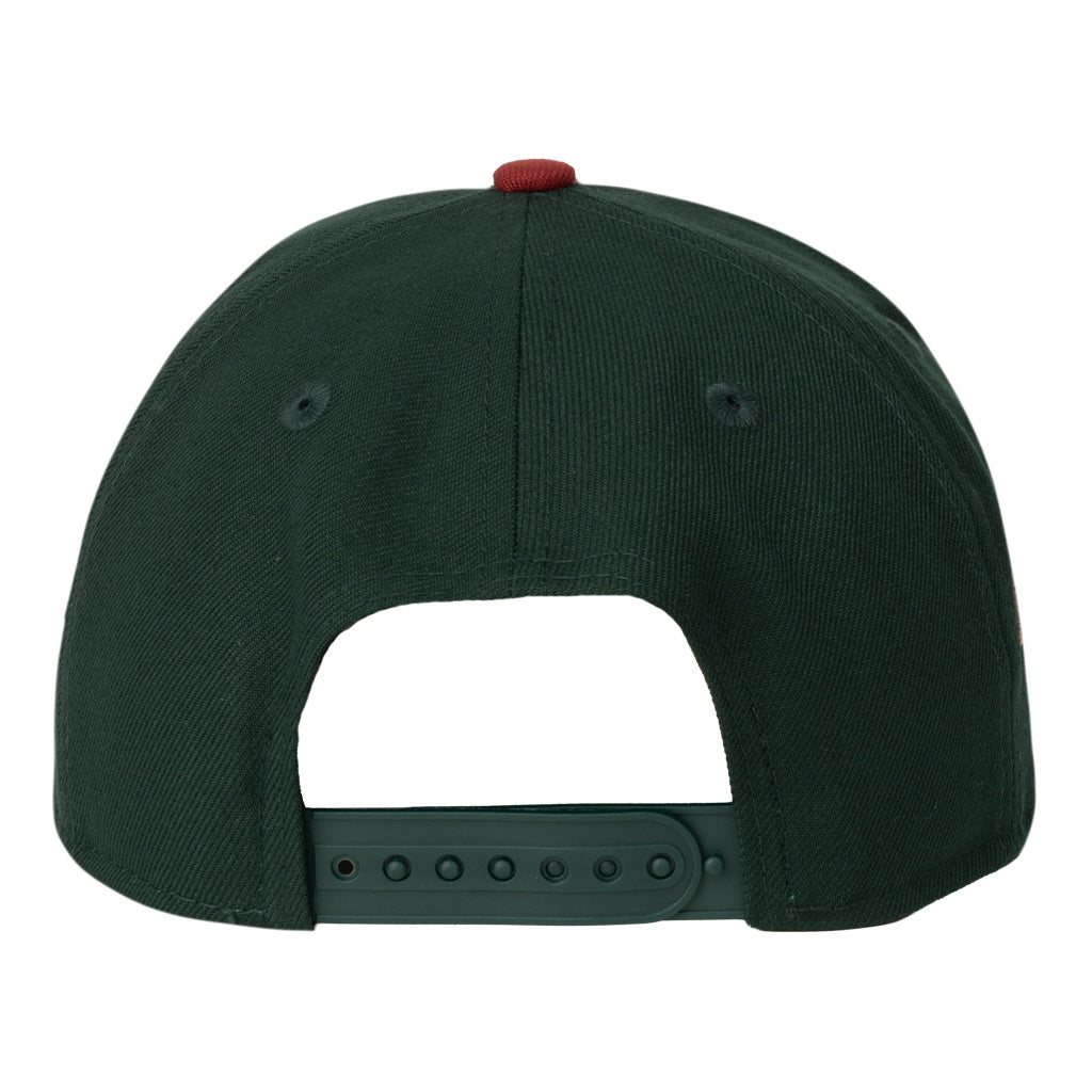 Tucson Roadrunners New Era Two-Tone 9FORTY A-Frame Snapback Hat - Green