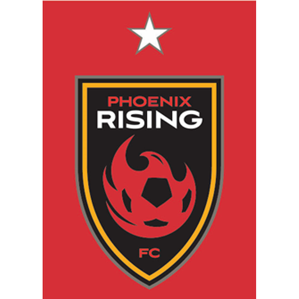 Phoenix Rising WinCraft 3x4 Magnet With Star - Red