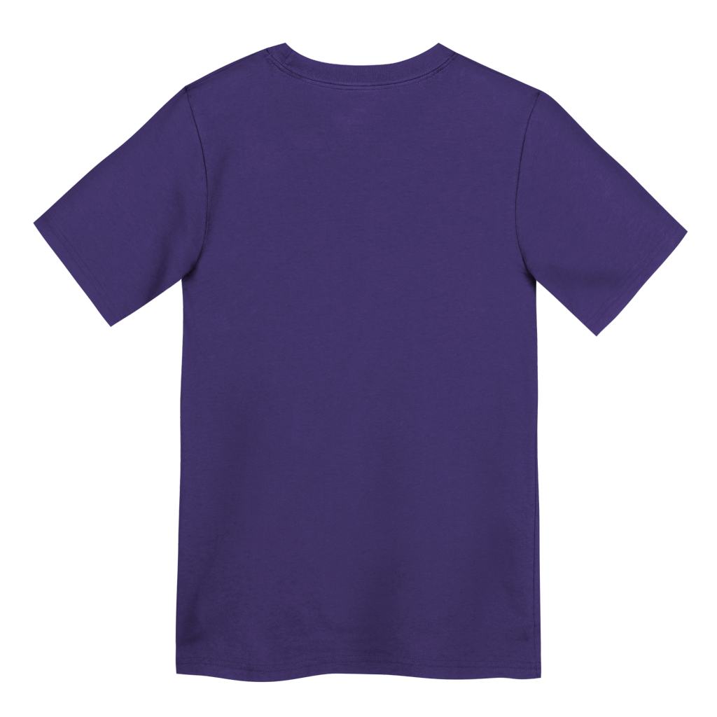 MLB Arizona Diamondbacks Kids Nike 2025 City Connect Logo T-shirt - Purple