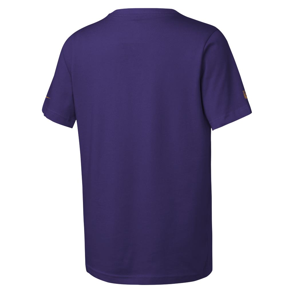 NFL Minnesota Vikings Youth Nike Team Issue T-Shirt - Purple