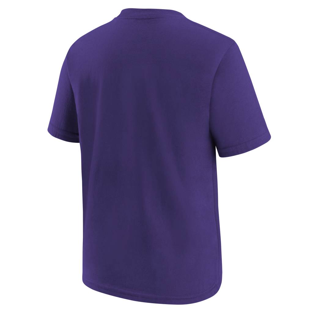 NFL Minnesota Vikings Youth Nike Logo T-Shirt - Purple