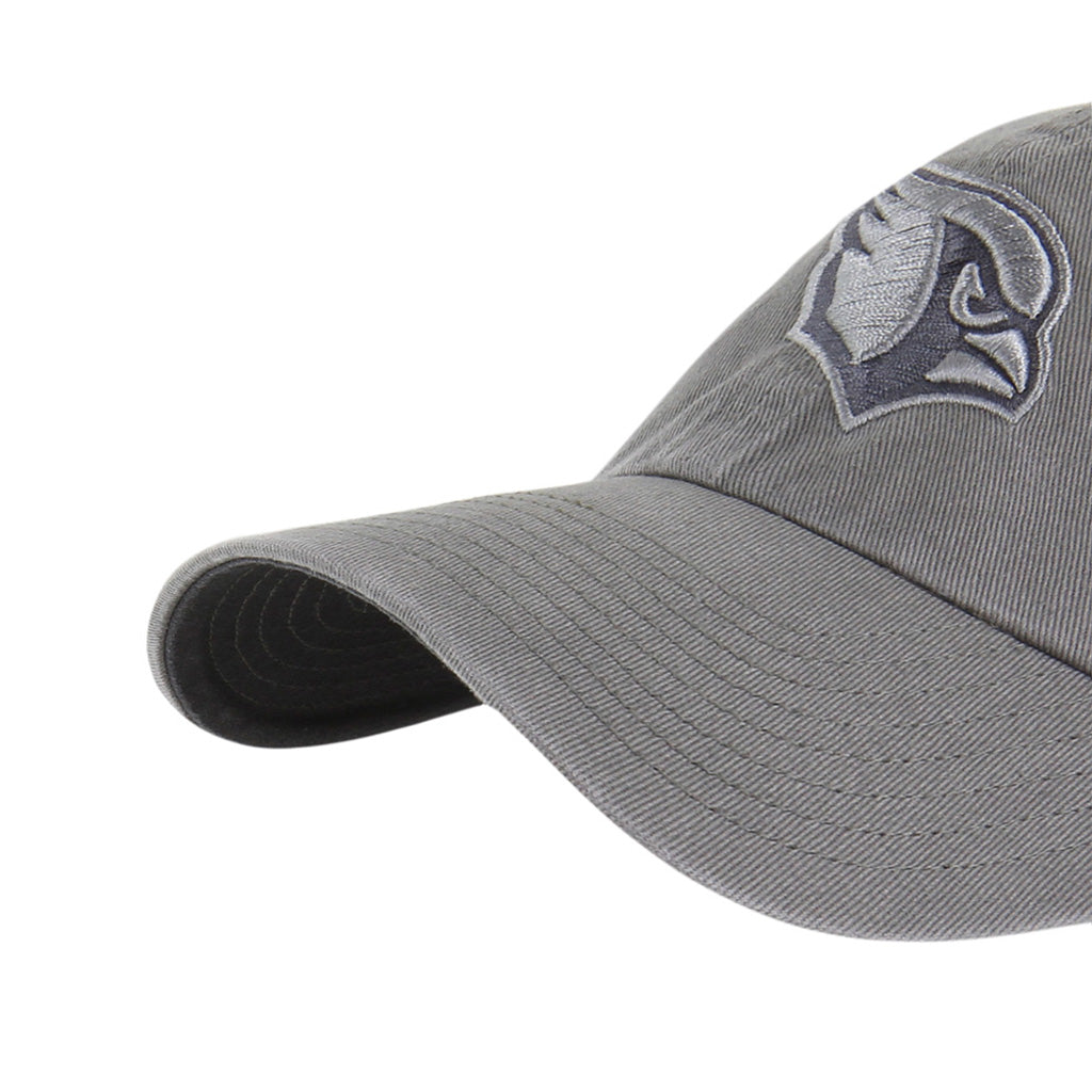 NFL Arizona Cardinals '47 Onyx Clean Up Adjustable Hat - Charcoal