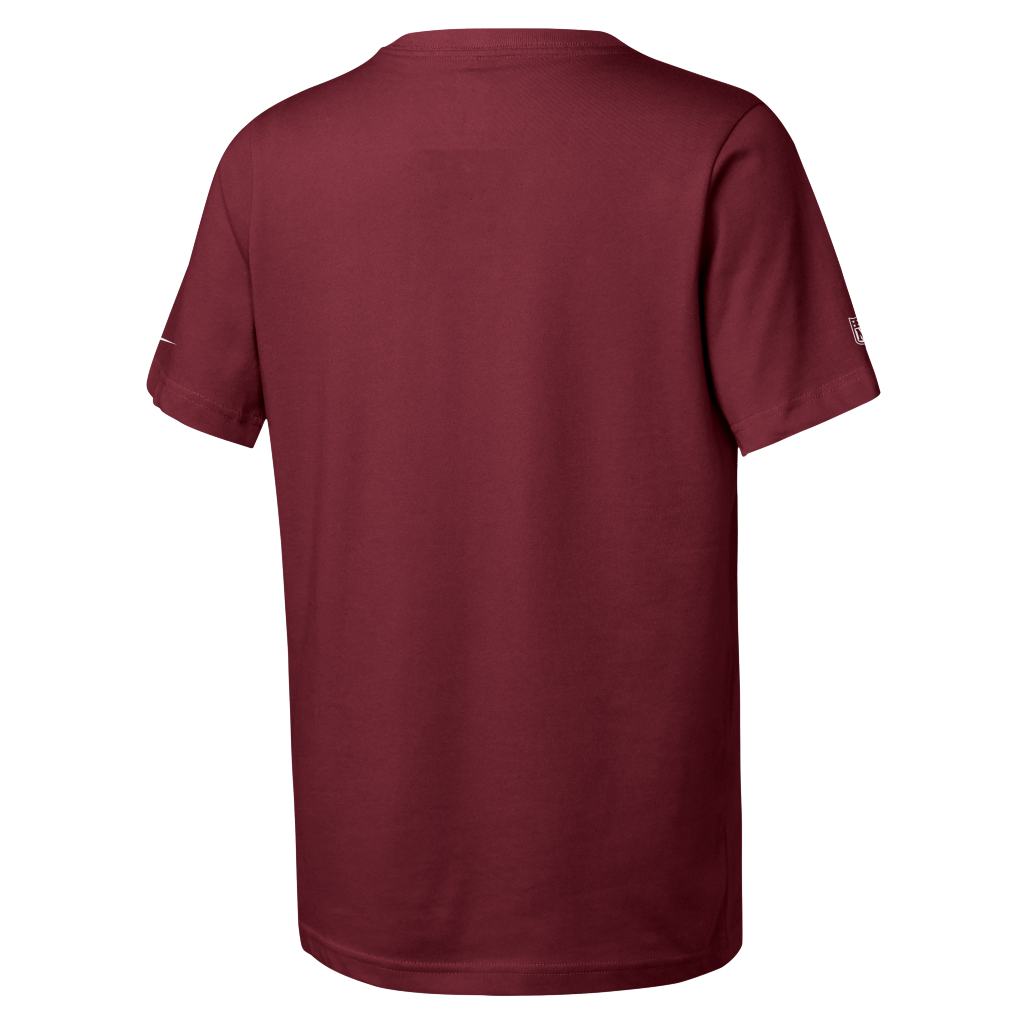 NFL Arizona Cardinals Youth Nike Team Issue T-Shirt - Red