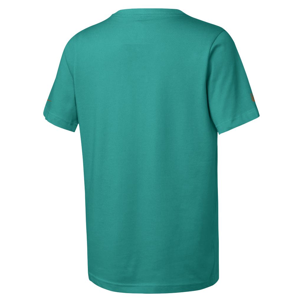 NFL Miami Dolphins Youth Nike Team Issue T-Shirt - Teal