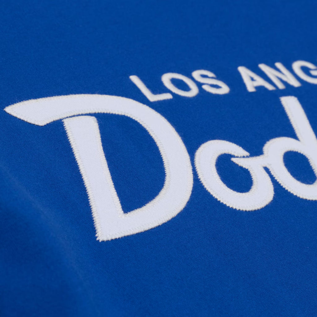 MLB Los Angeles Dodgers Mitchell & Ness Head Coach T-Shirt - Blue