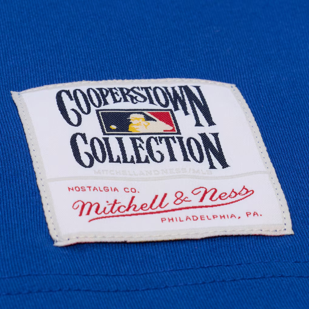 MLB Los Angeles Dodgers Mitchell & Ness Head Coach T-Shirt - Blue