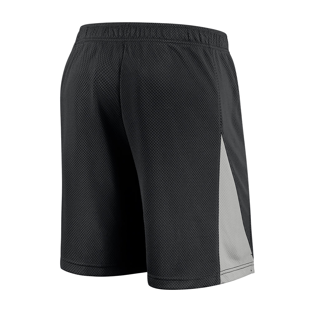 MLB Arizona Diamondbacks Nike Logo Franchise Shorts