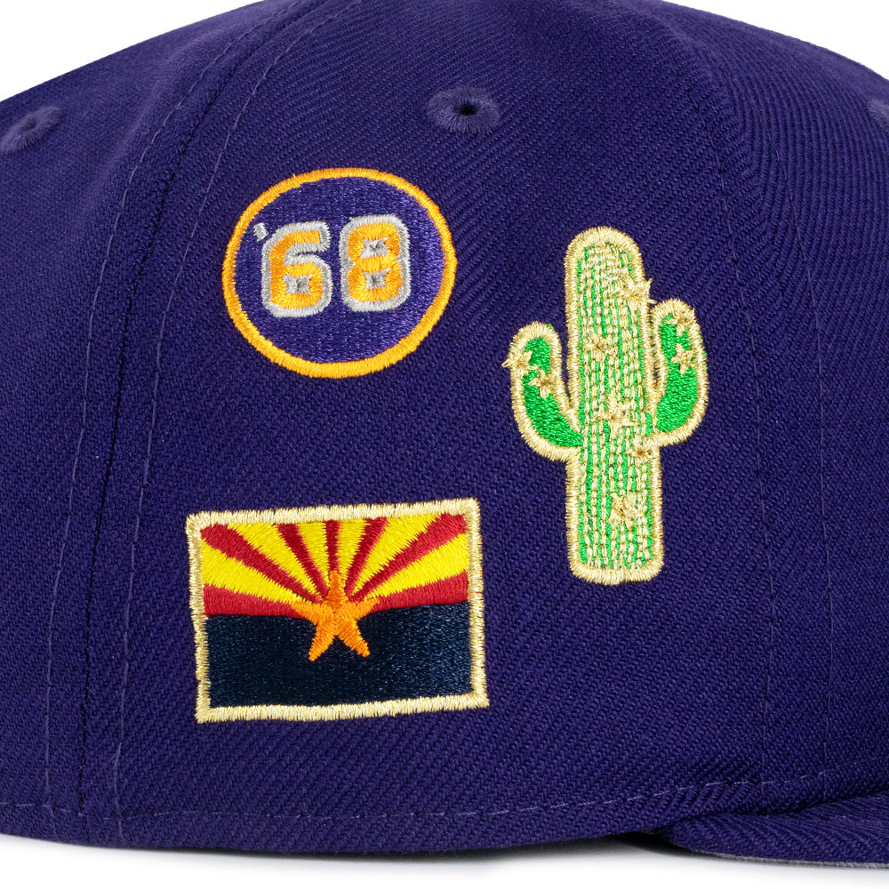 NBA Phoenix Suns New Era Native 9FIFTY Snapback
